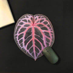 January-Tropical Leaf Leather Mouse Pad | Custom Cool Design-good quality