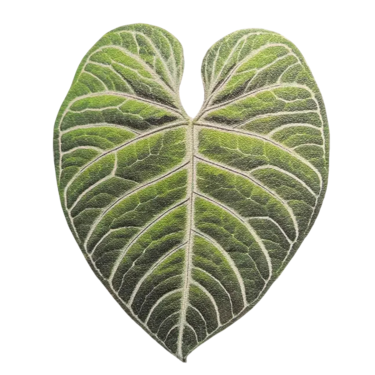 Monstera Deliciosa Leaf Leather Cup Mat for Table-Friday