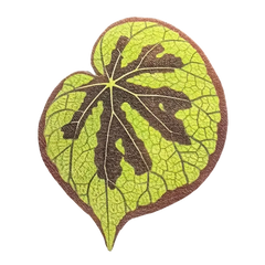Monstera Deliciosa Leaf Leather Cup Mat for Table-Sunday