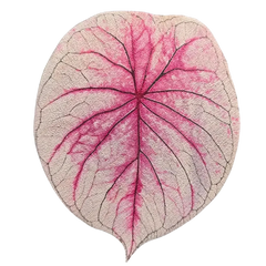 Monstera Deliciosa Leaf Leather Cup Mat for Table-Tuesday