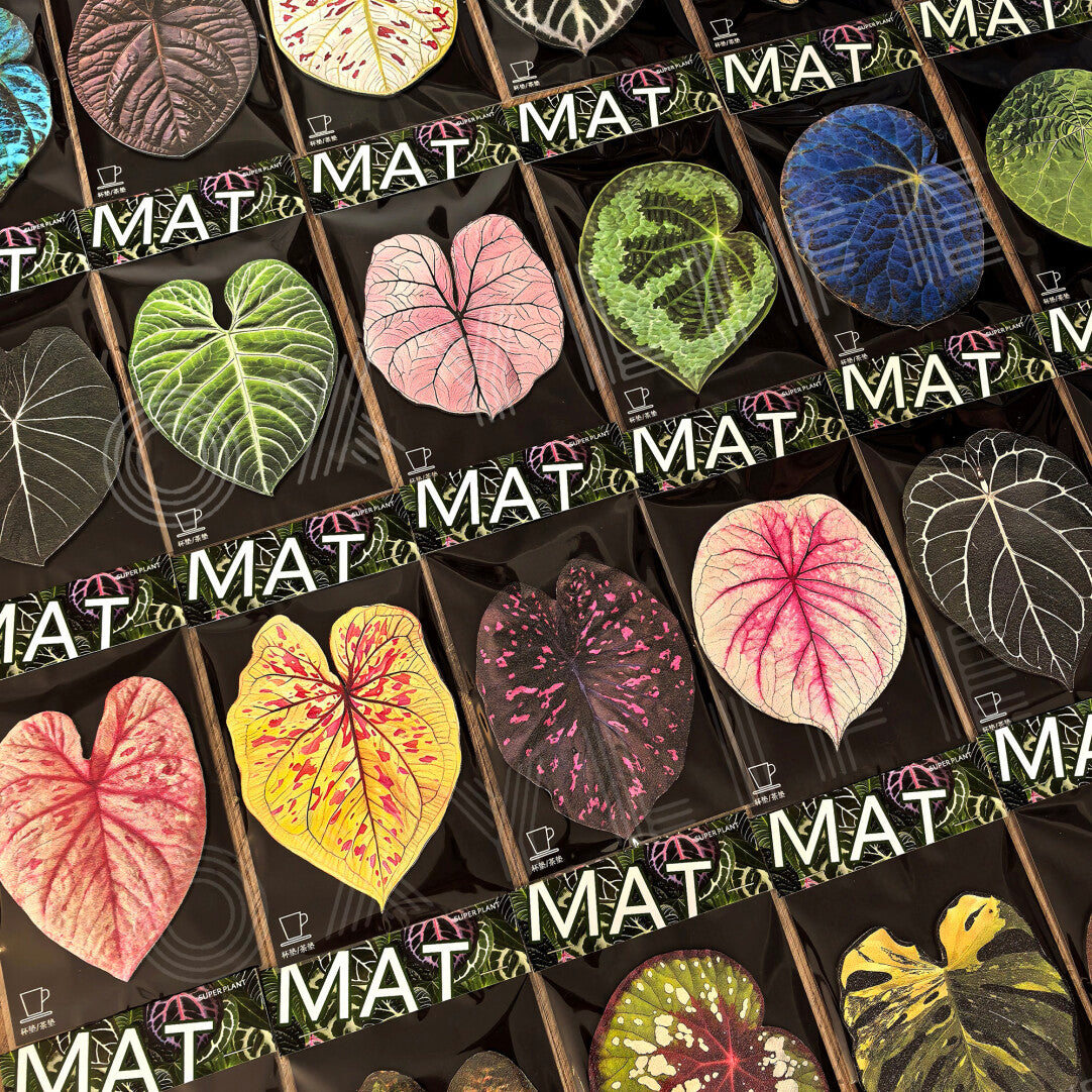 Monstera Deliciosa Leaf Leather Cup Mat for Table-Sunday